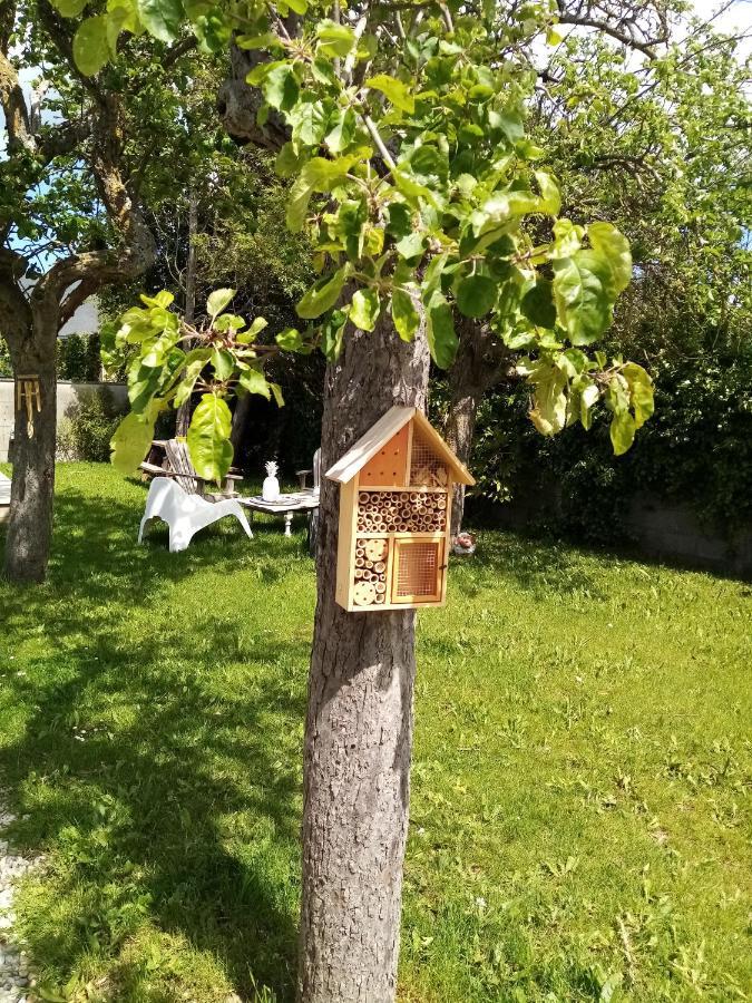 O Douceurs Sucrees Cabourg Bed and Breakfast Eksteriør billede